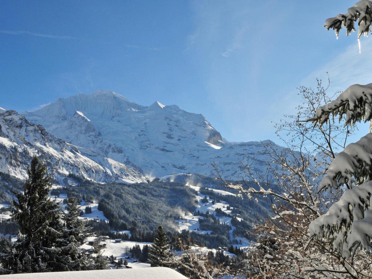Apartment Panorama By Interhome Wengen Exterior photo